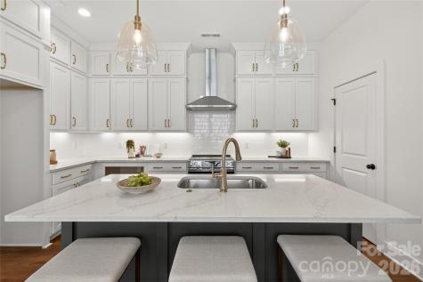 9113 Maybry Park Street Charlotte NC 28212