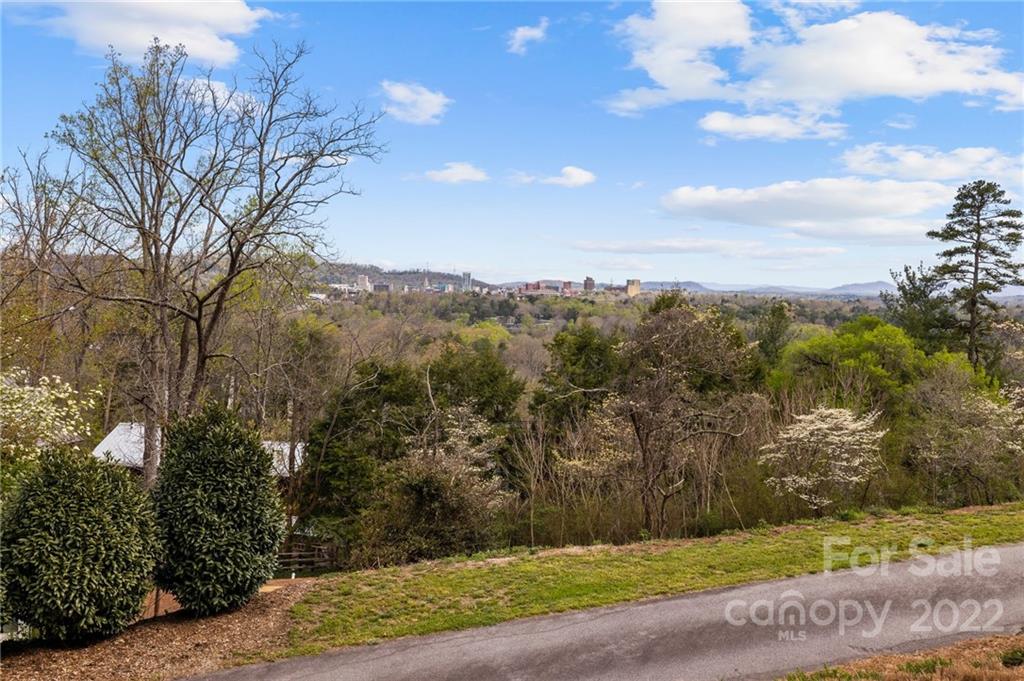 35 Elias Place Asheville NC 28804