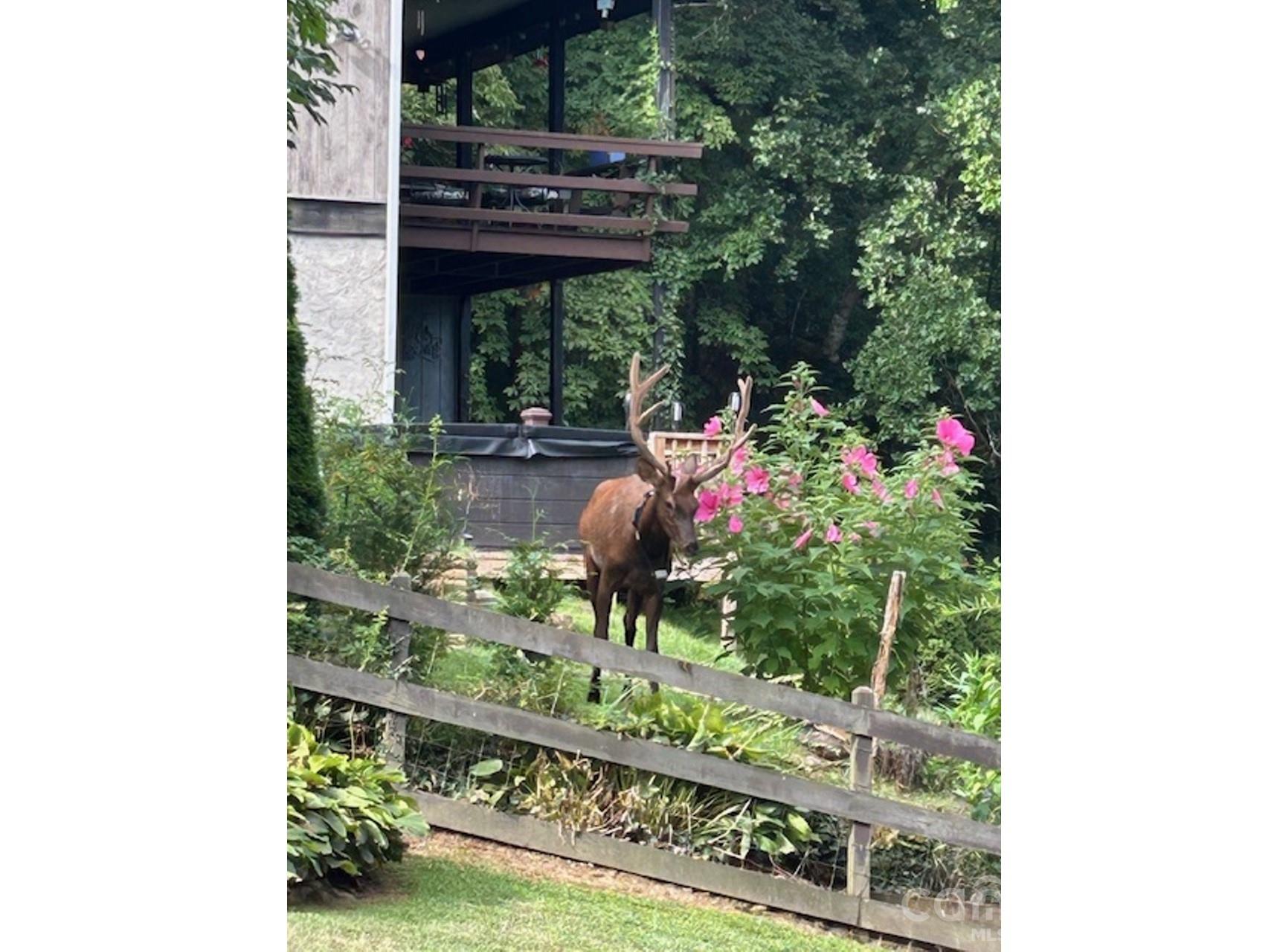 102 Sanctuary Road Maggie Valley NC 28751