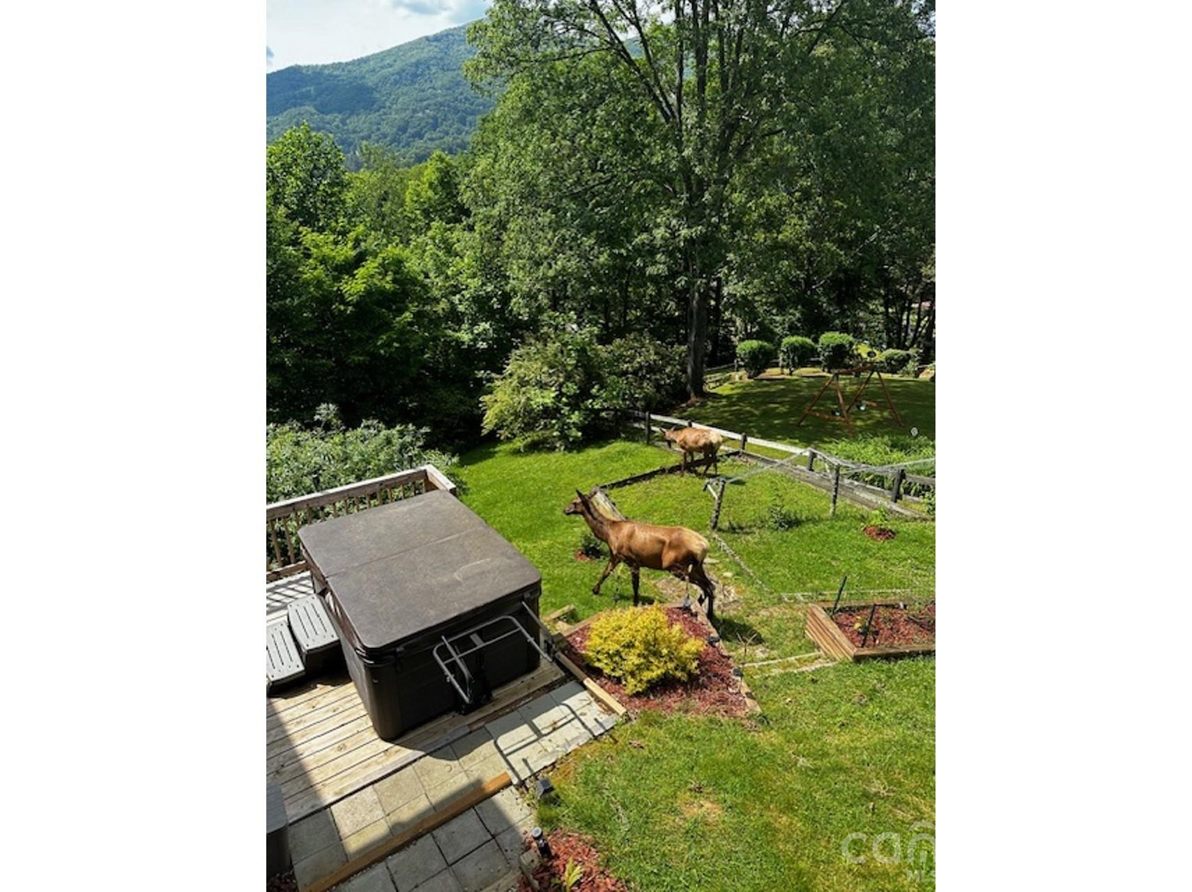 102 Sanctuary Road Maggie Valley NC 28751
