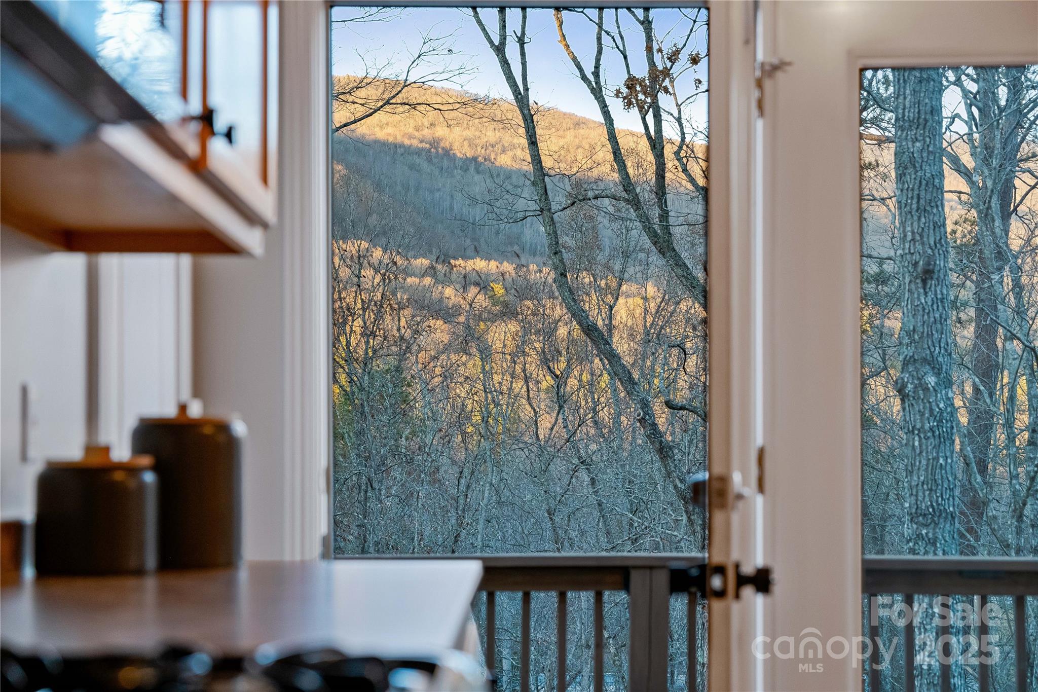 90 Indian Mound Trail Fairview NC 28730