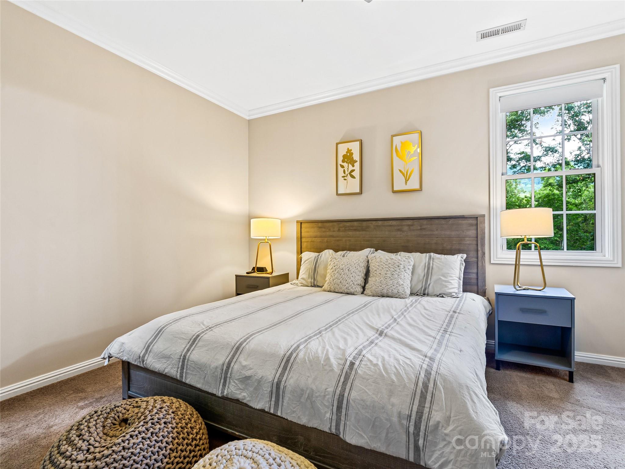 90 Indian Mound Trail Fairview NC 28730