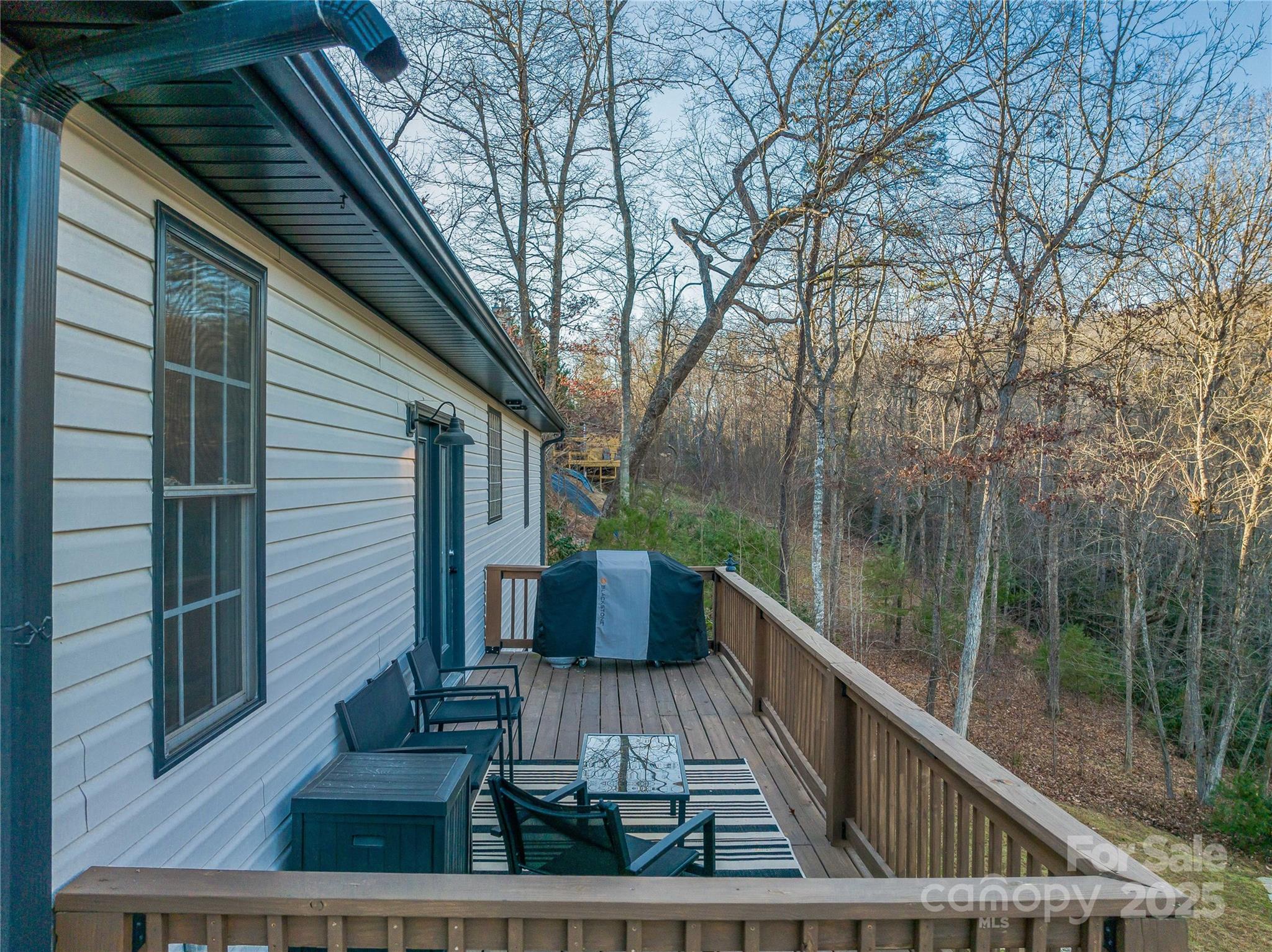 90 Indian Mound Trail Fairview NC 28730