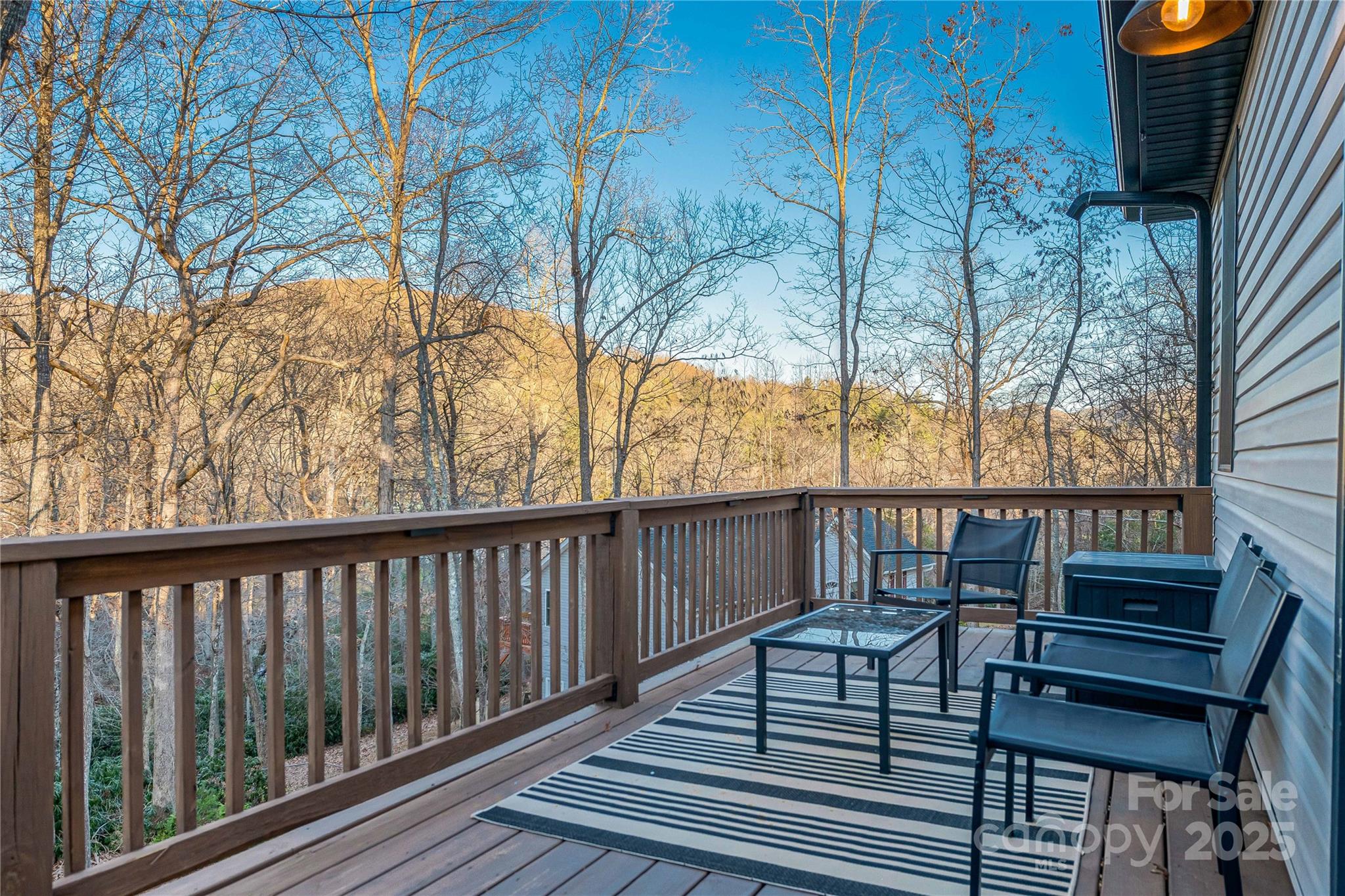 90 Indian Mound Trail Fairview NC 28730