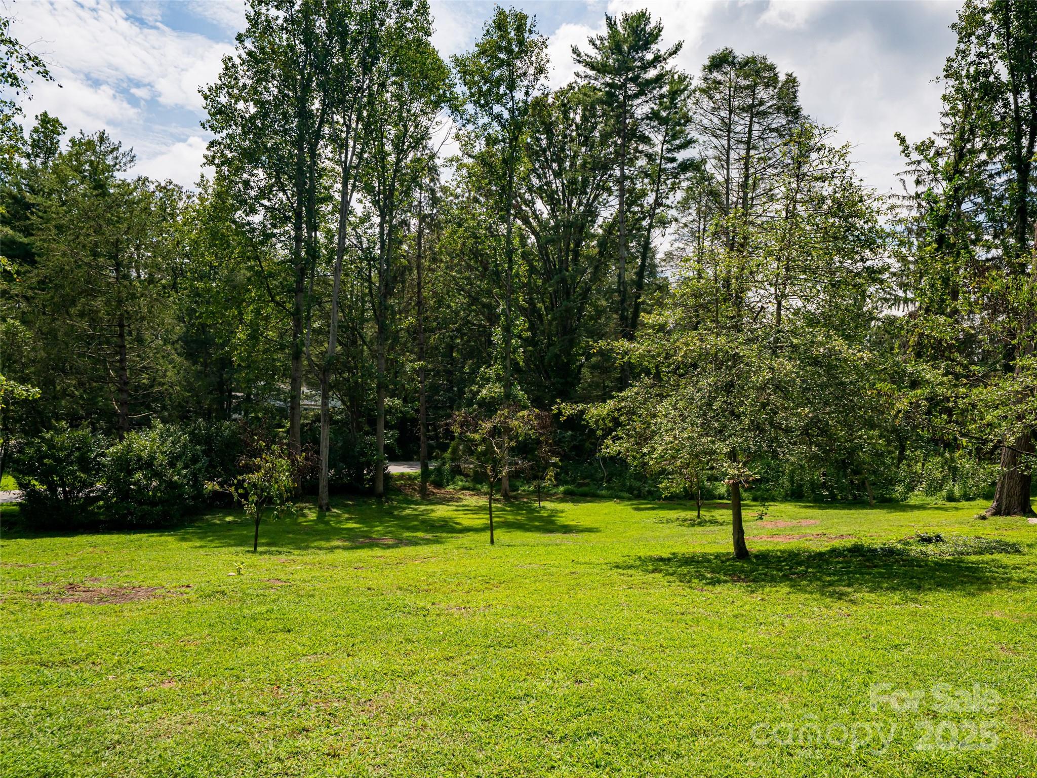 5 Busbee Road Asheville NC 28803