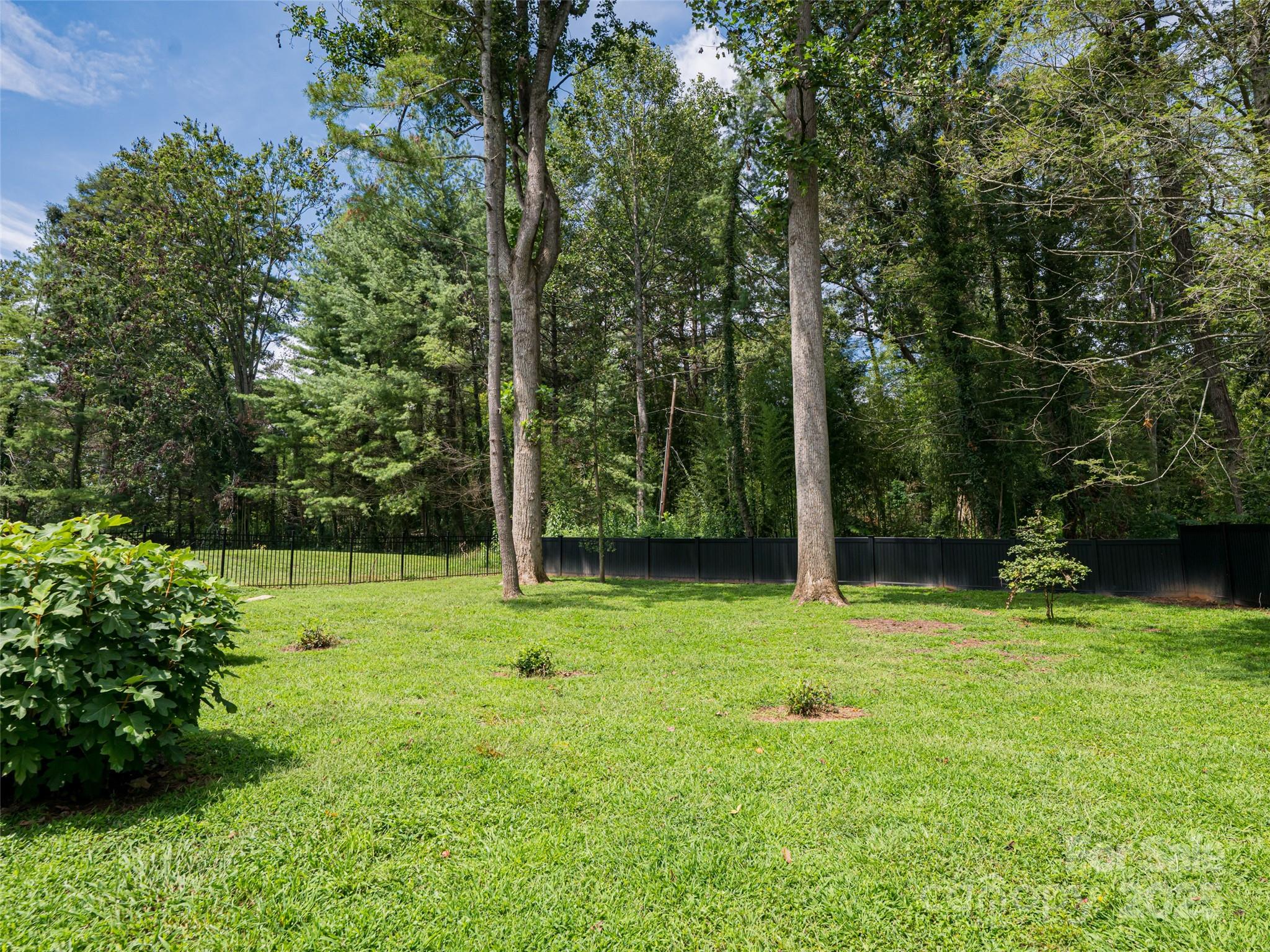 5 Busbee Road Asheville NC 28803