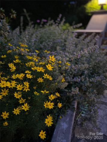 5 Busbee Road Asheville NC 28803