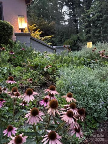 5 Busbee Road Asheville NC 28803