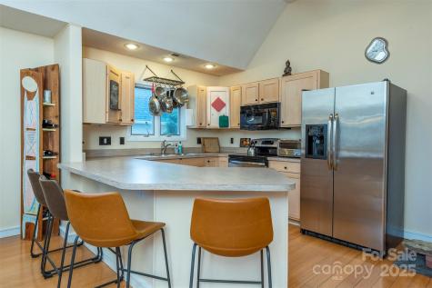 9 Village Parkway Black Mountain NC 28711