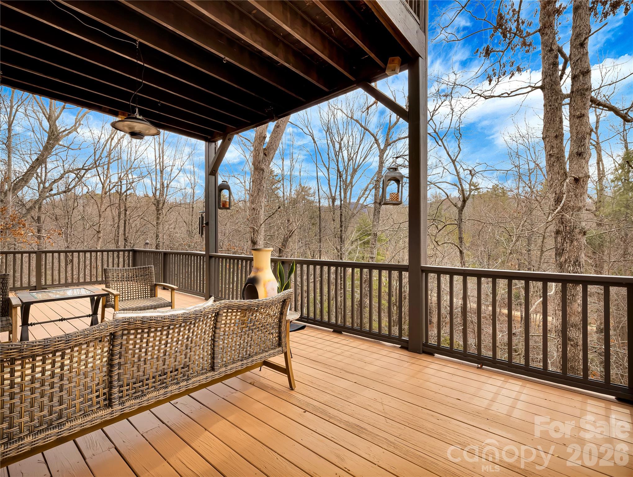 184 Deep Woods Lane Saluda NC 28773