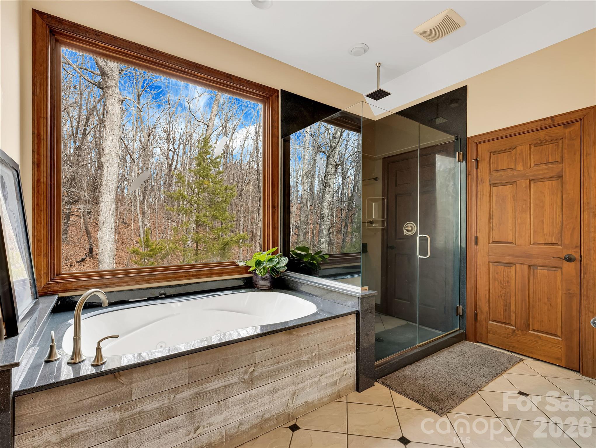 184 Deep Woods Lane Saluda NC 28773