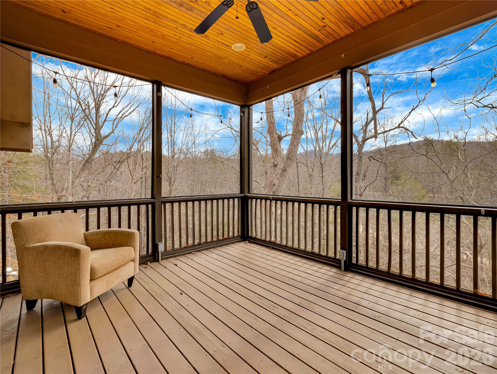 184 Deep Woods Lane Saluda NC 28773
