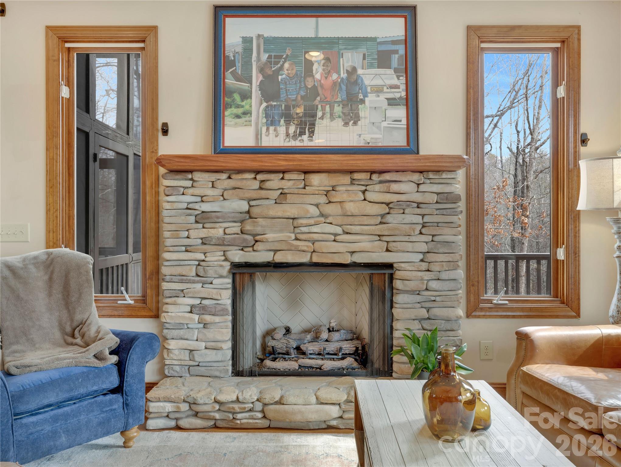 184 Deep Woods Lane Saluda NC 28773