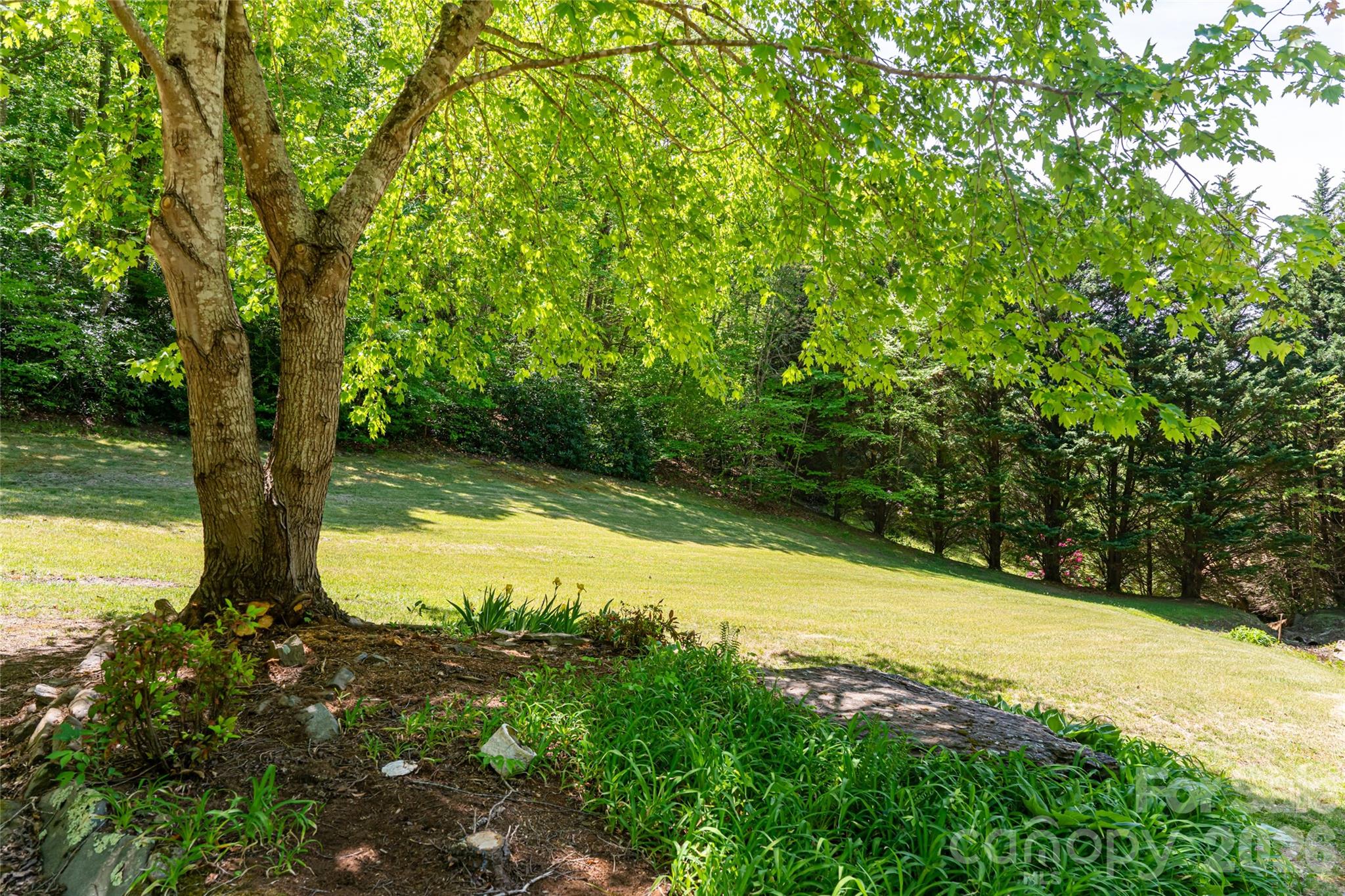 224 Seasons Drive Clyde NC 28721