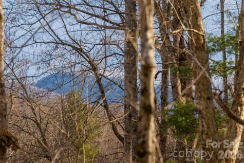 13 Cambridge Drive Candler NC 28715