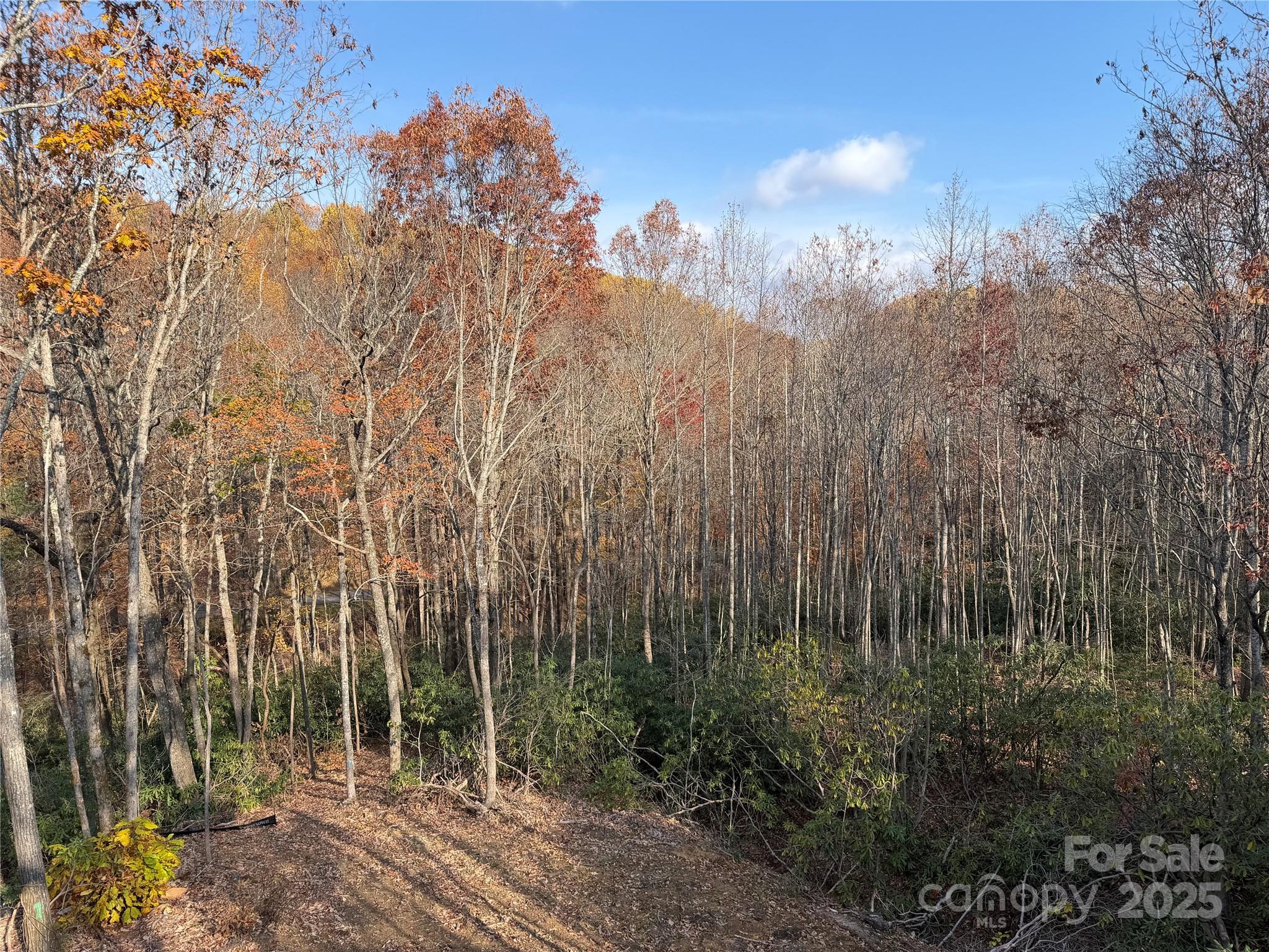 233 Arcadia Falls Way Black Mountain NC 28711