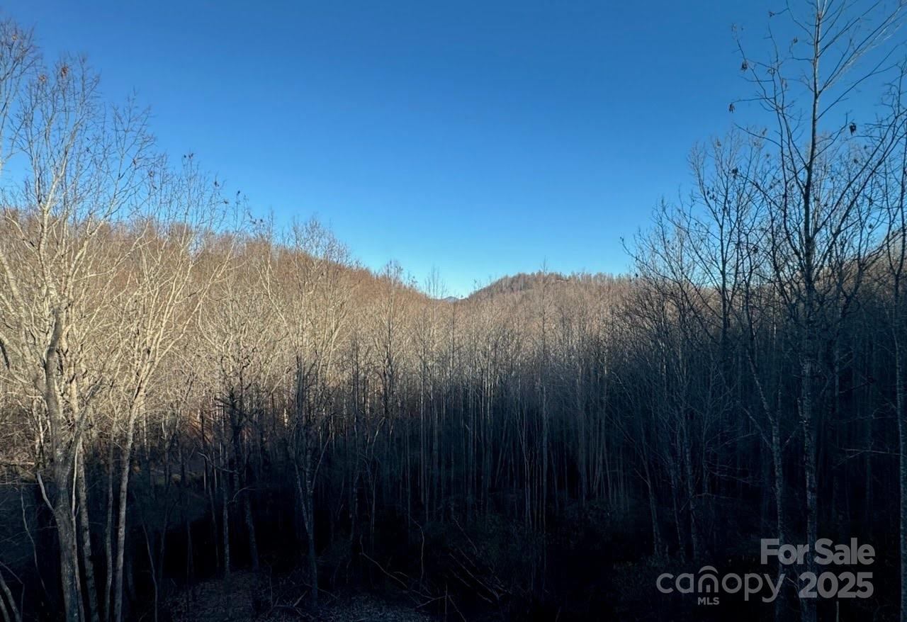 233 Arcadia Falls Way Black Mountain NC 28711