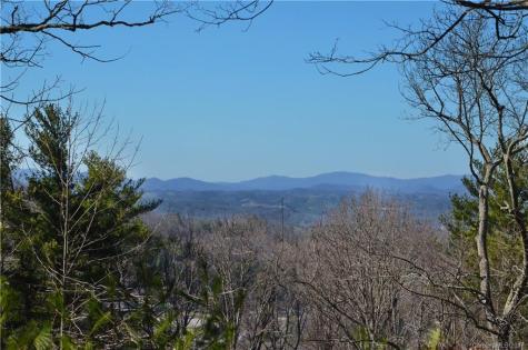 111 Sunny Ridge Drive Asheville NC 28804