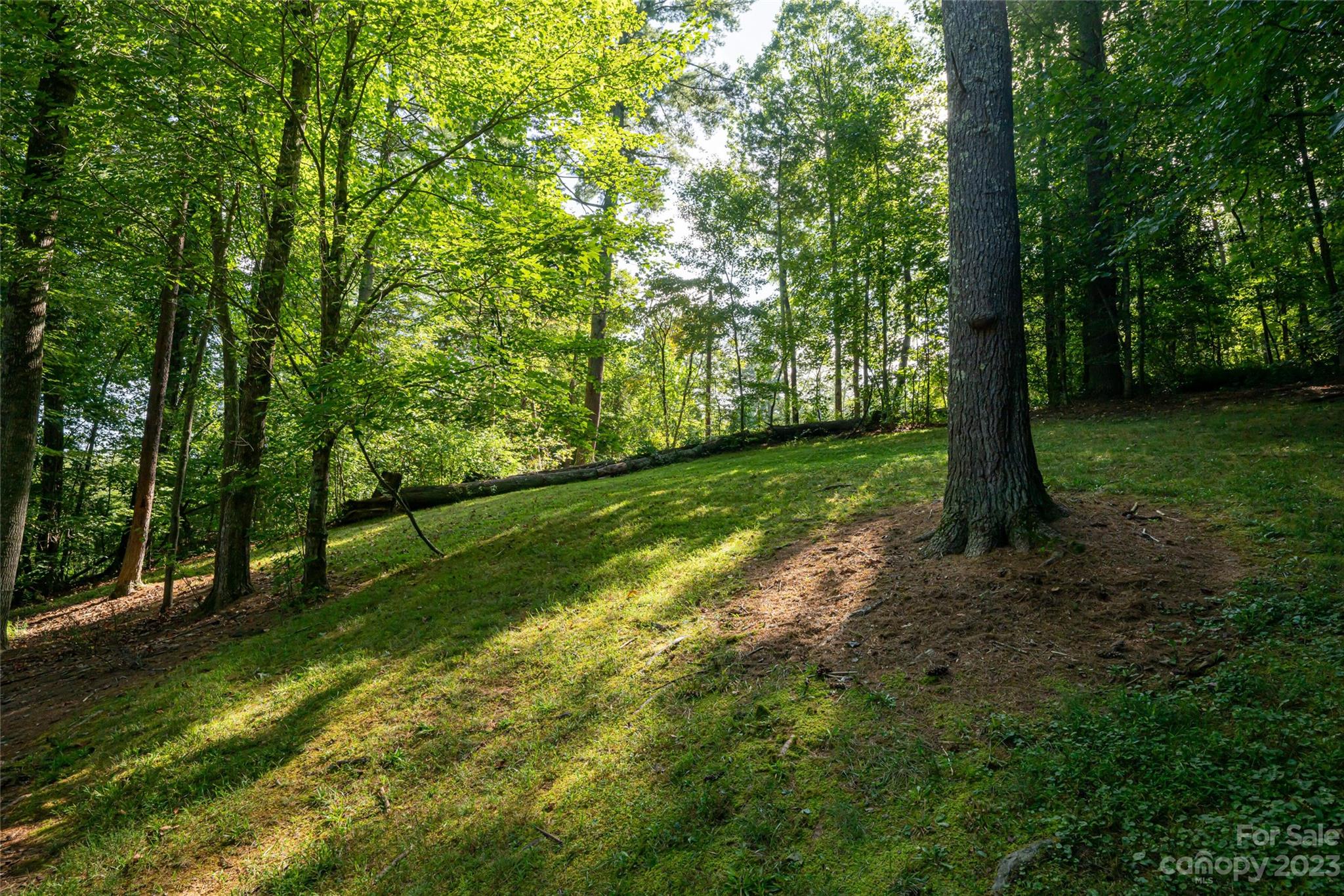 5 Troy Hill Drive Fletcher NC 28732