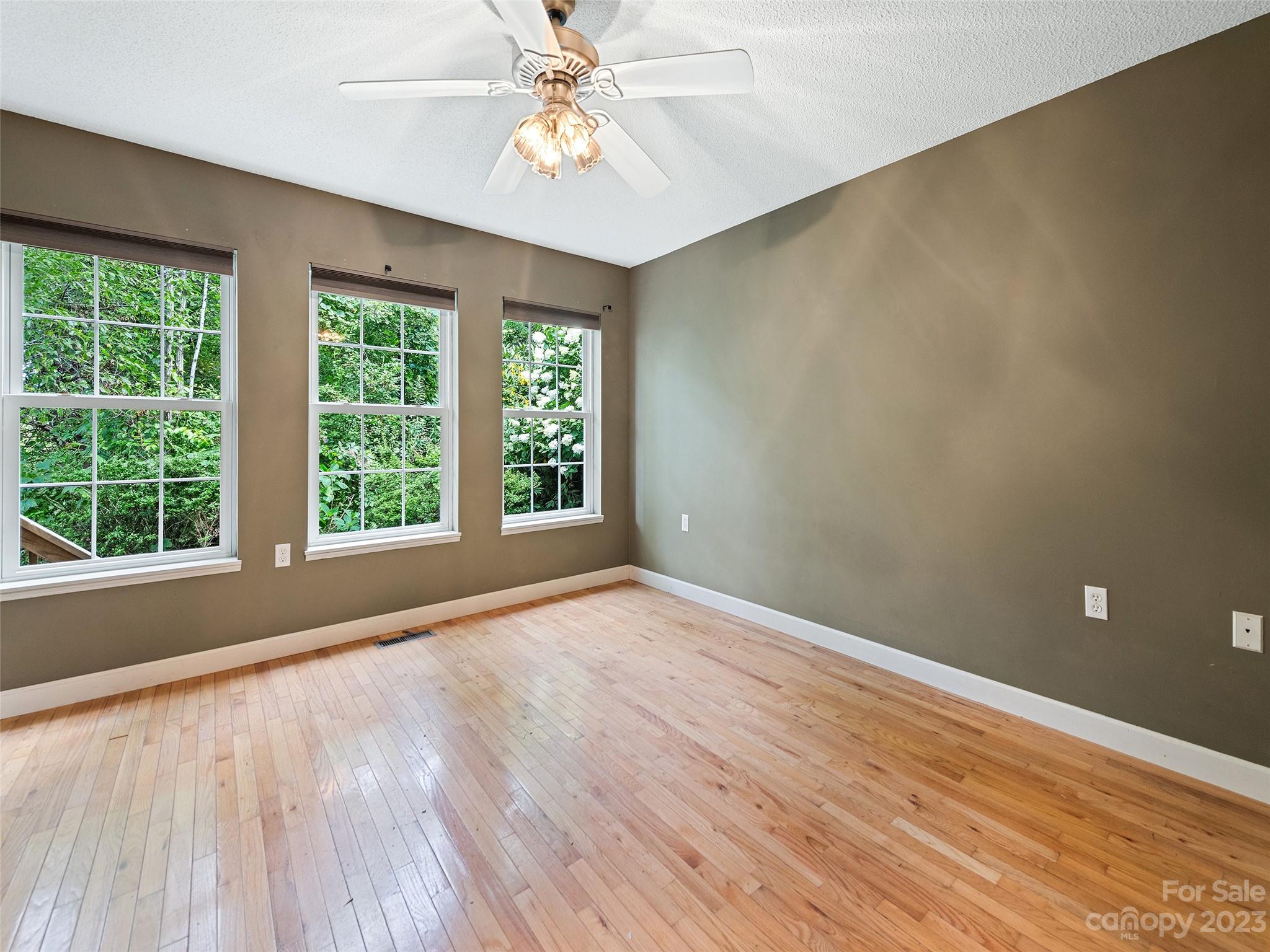 155 Hawks View Drive Canton NC 28716