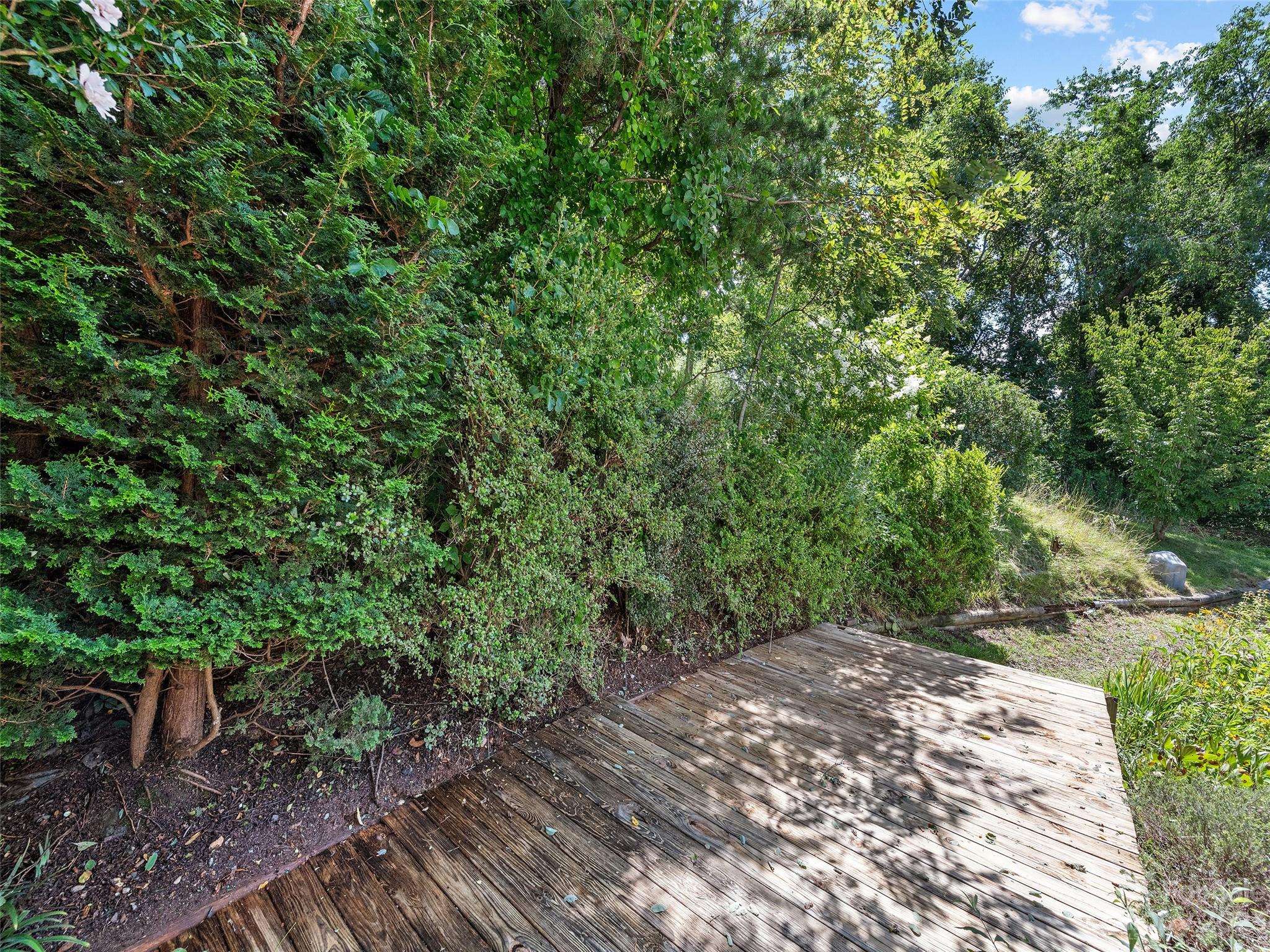 155 Hawks View Drive Canton NC 28716