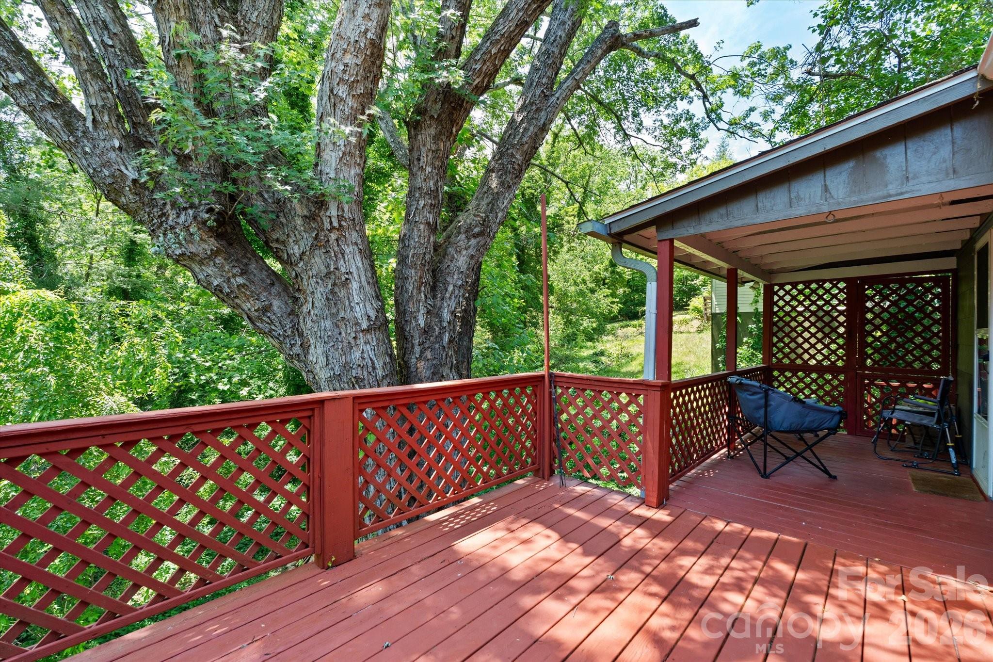 224 Aurora Drive Asheville NC 28805