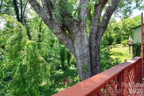 224 Aurora Drive Asheville NC 28805