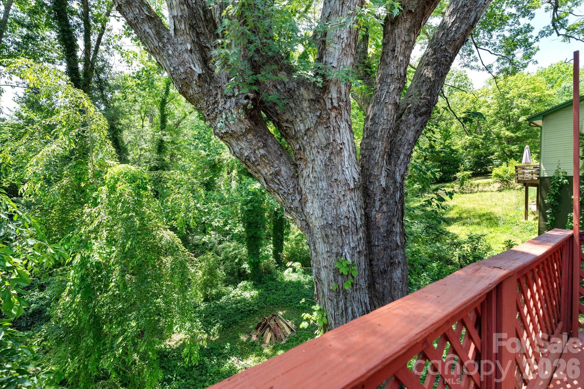 224 Aurora Drive Asheville NC 28805