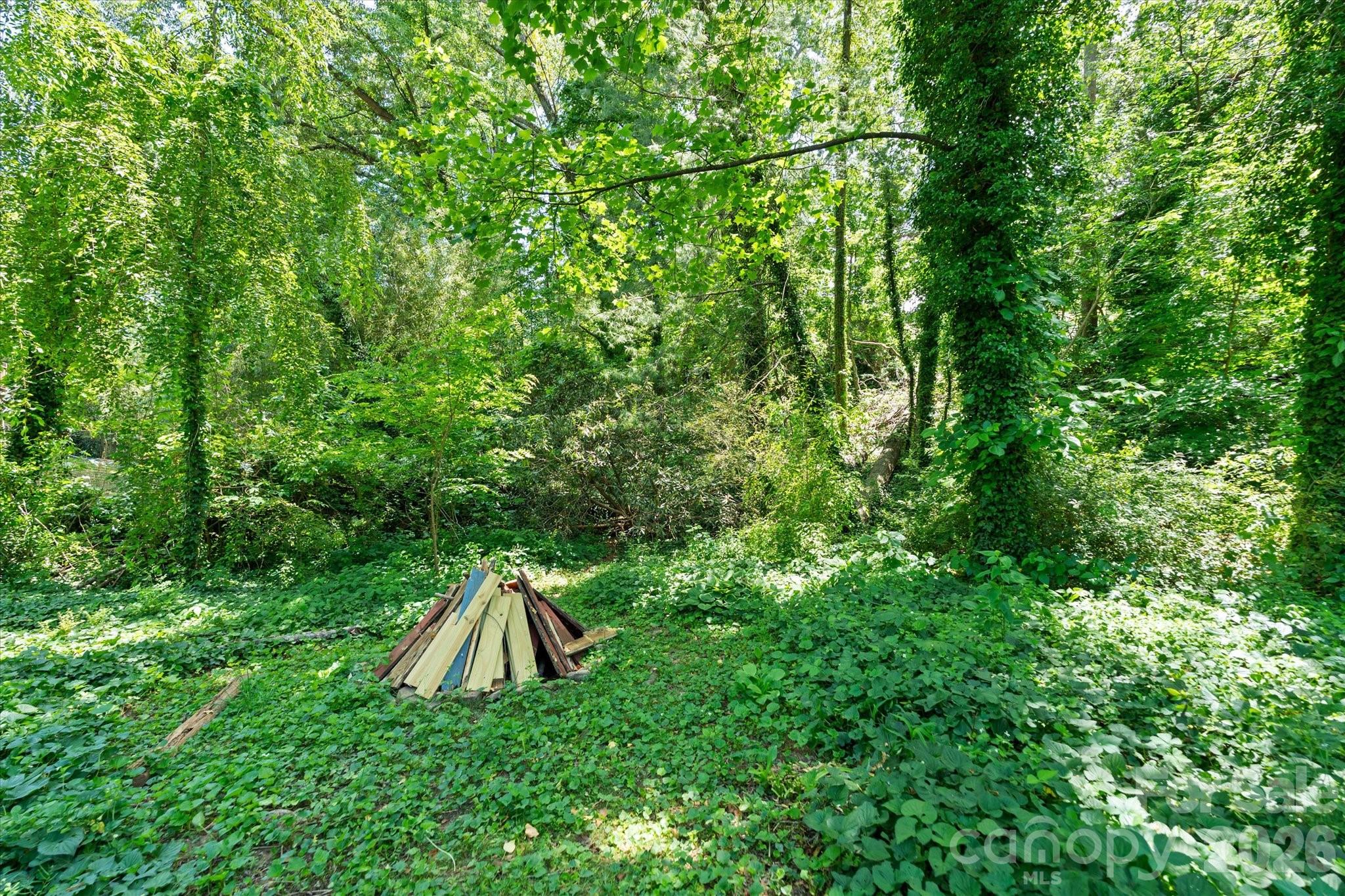 224 Aurora Drive Asheville NC 28805