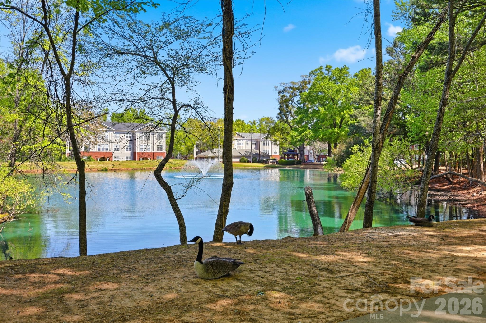 11520 Destin Lane Charlotte NC 28277