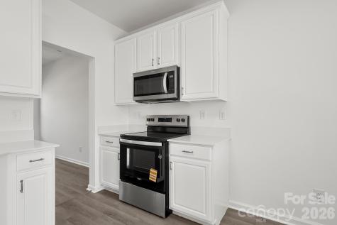 16209 Peachmont Drive Cornelius NC 28031