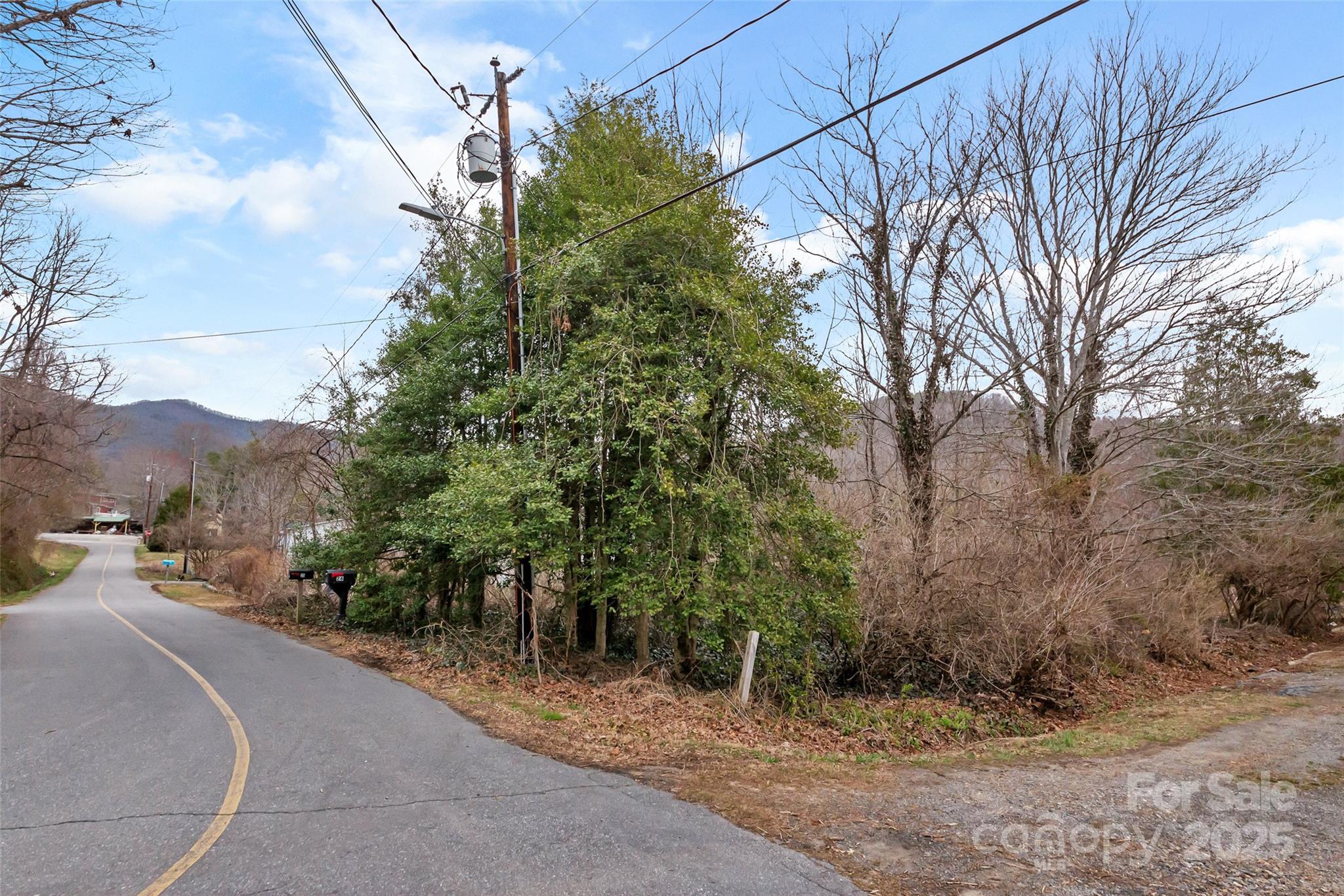 25 John Myra Avenue Black Mountain NC 28711
