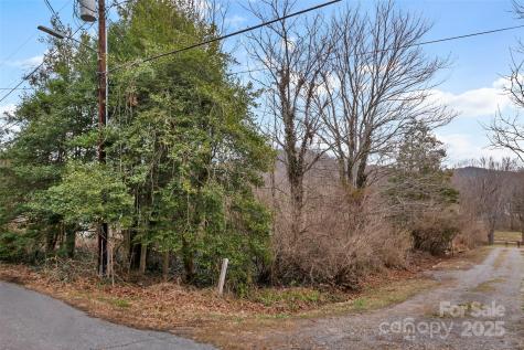 25 John Myra Avenue Black Mountain NC 28711