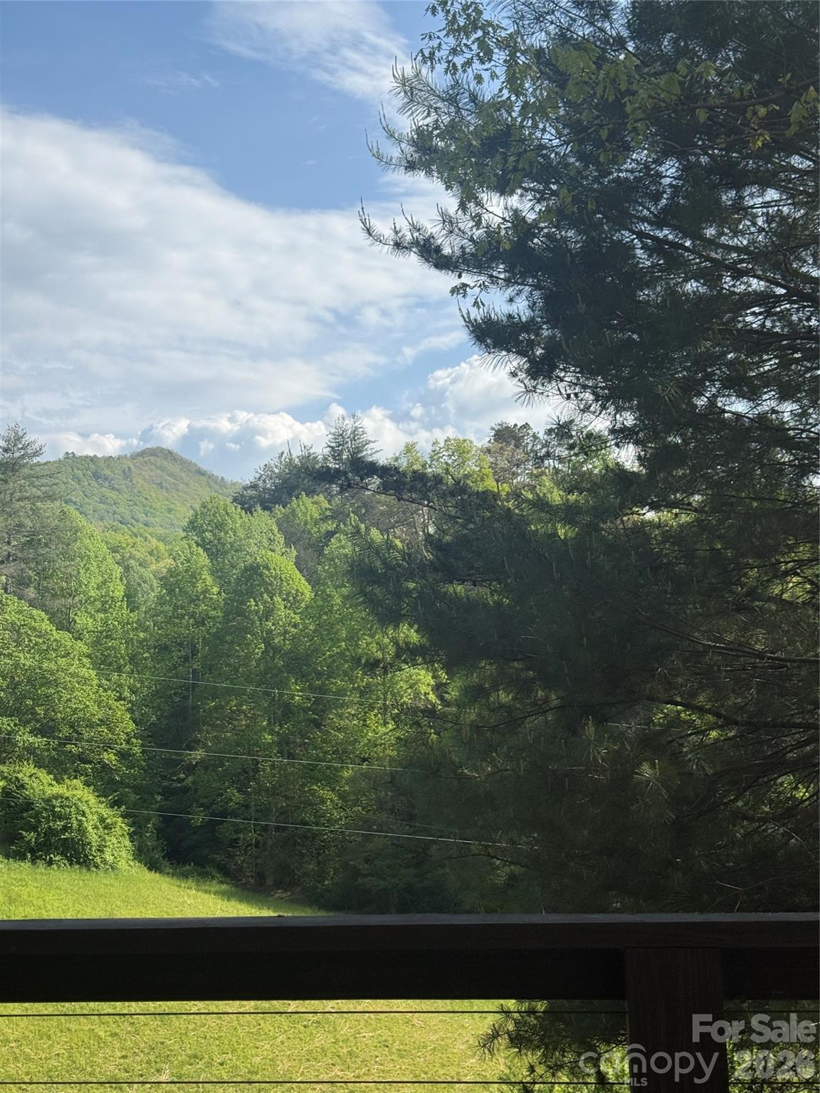 71 Mountain Trace Point Bryson City NC 28713