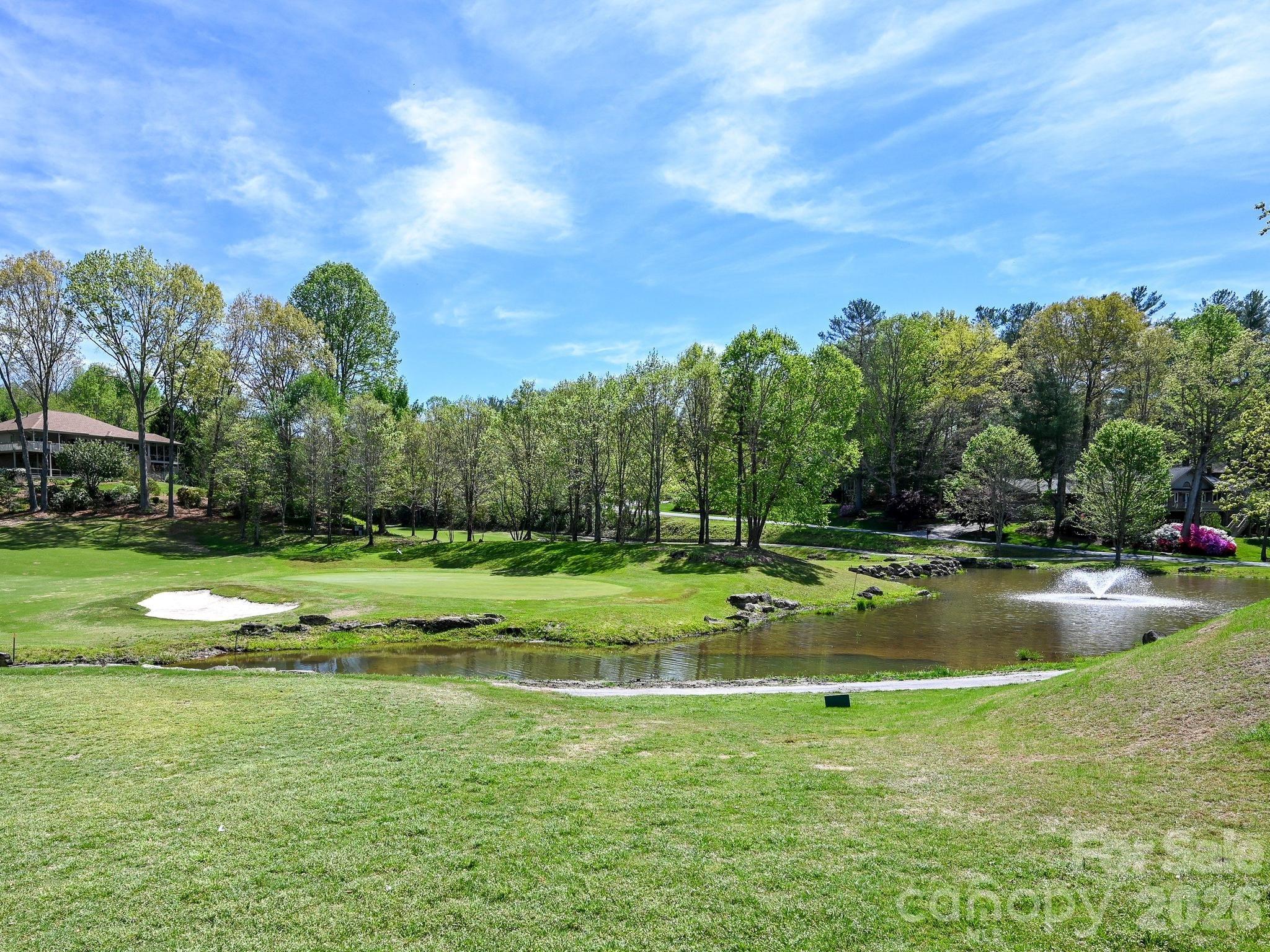 2208 E Cumming Woods Lane Hendersonville NC 28739