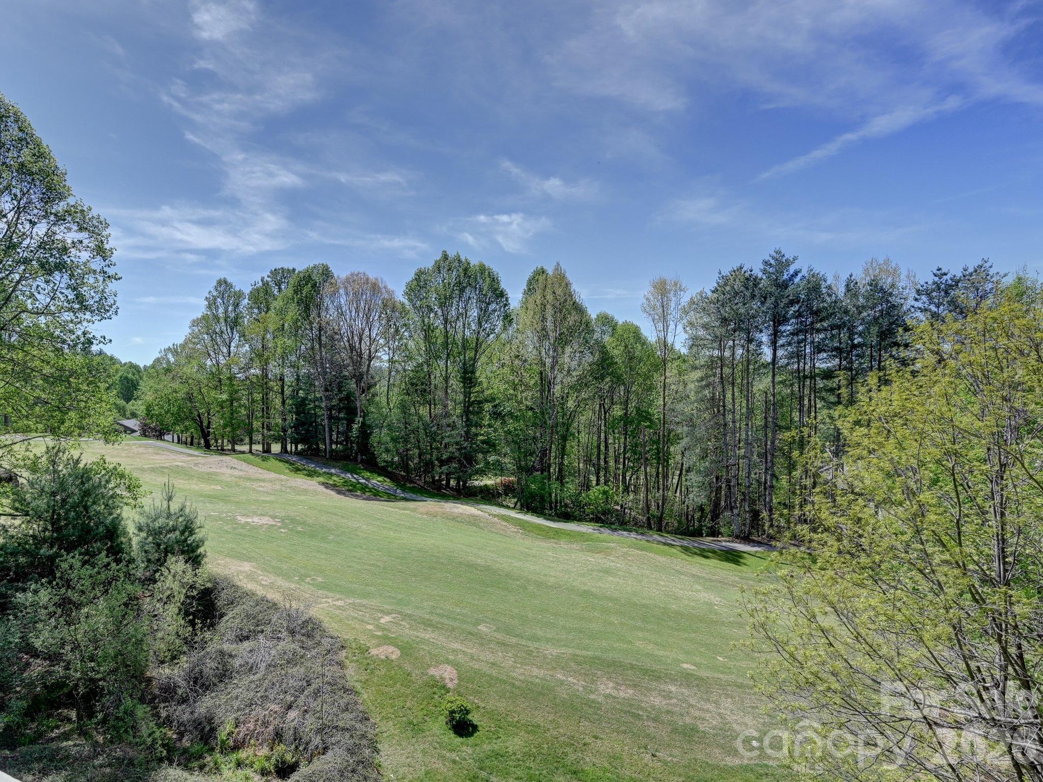 2208 E Cumming Woods Lane Hendersonville NC 28739