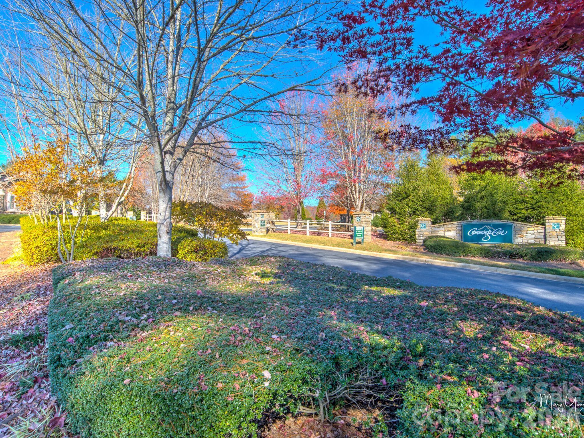 2208 E Cumming Woods Lane Hendersonville NC 28739