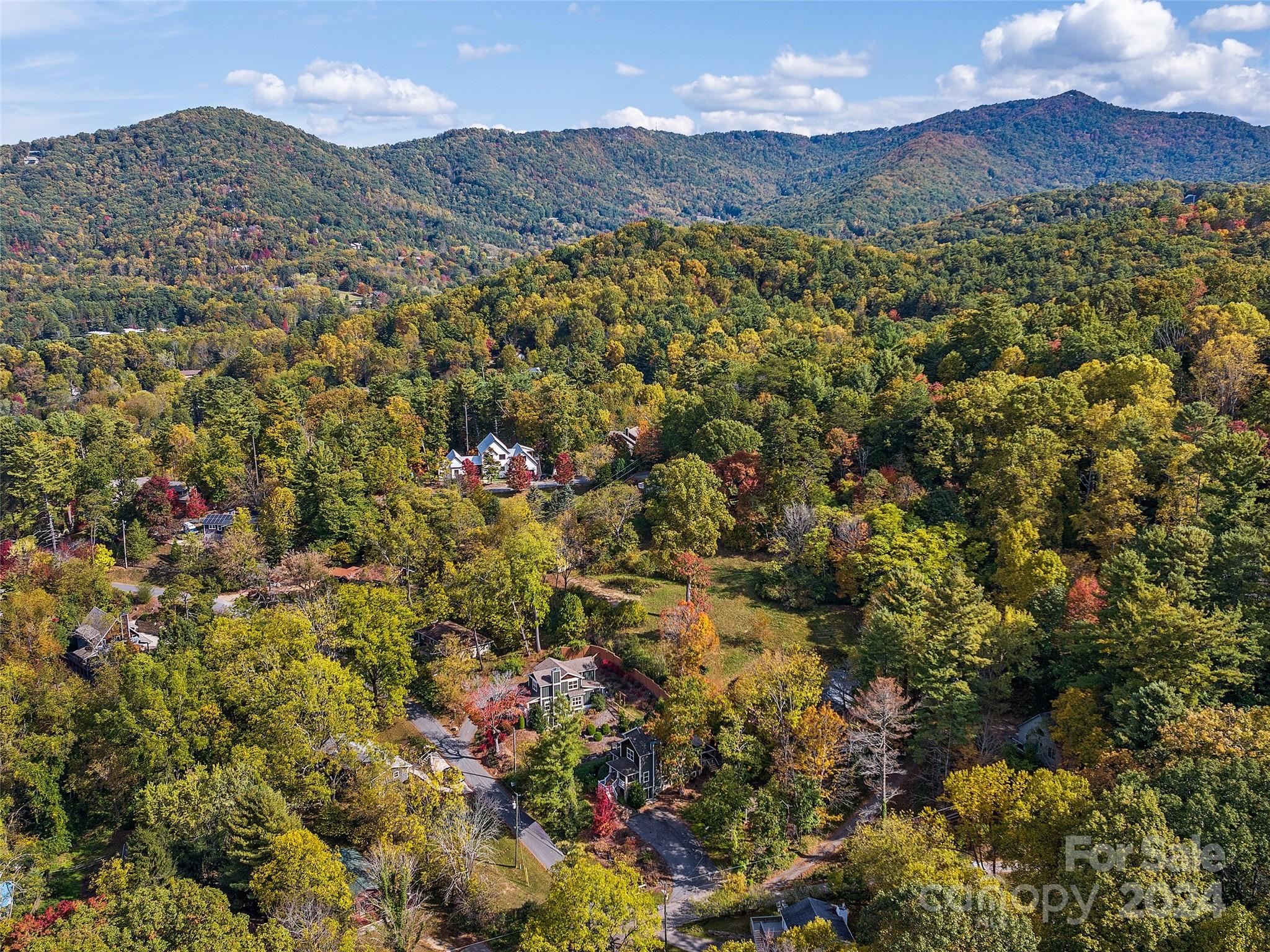 84 Bassett Road Asheville NC 28804