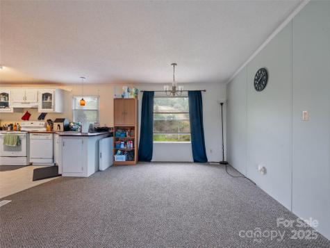 20 & 28 Toby Drive Asheville NC 28806