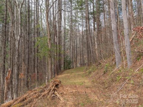 11 Freshwater Cove Maggie Valley NC 28751