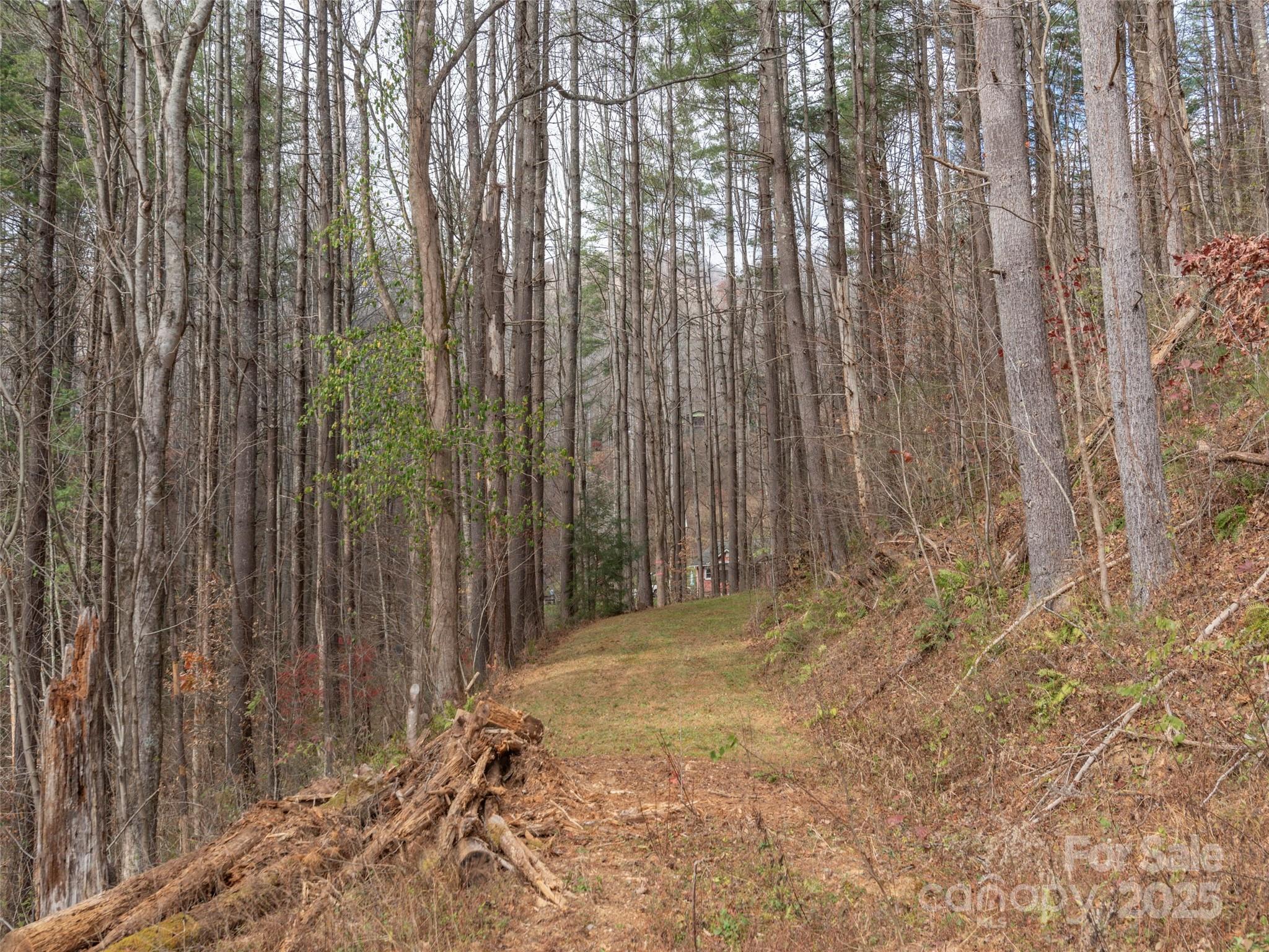 11 Freshwater Cove Maggie Valley NC 28751