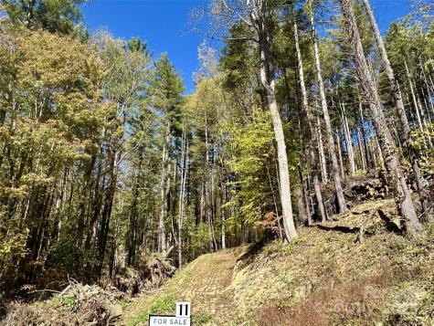 11 Freshwater Cove Maggie Valley NC 28751