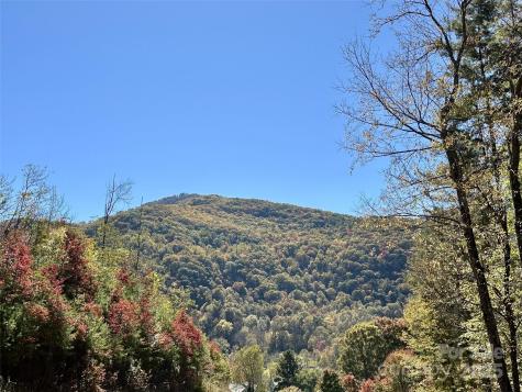 11 Freshwater Cove Maggie Valley NC 28751
