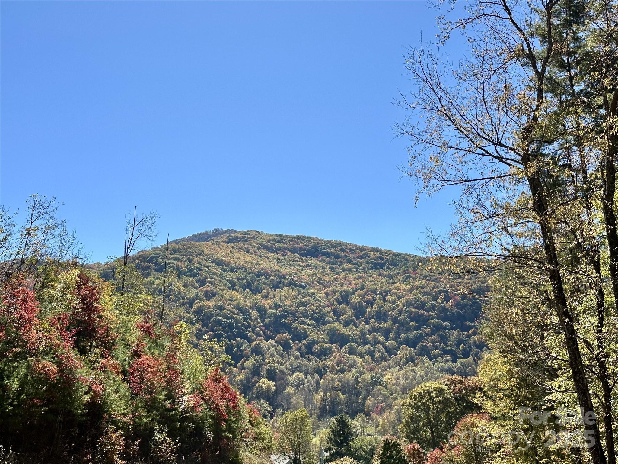 11 Freshwater Cove Maggie Valley NC 28751