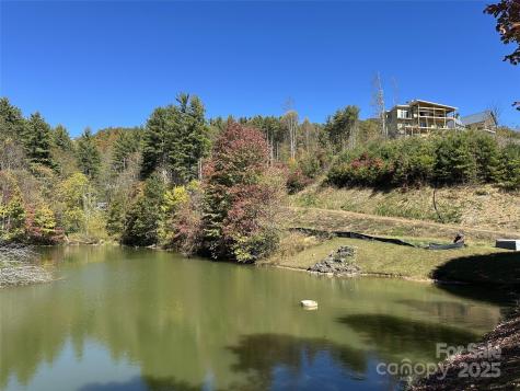11 Freshwater Cove Maggie Valley NC 28751