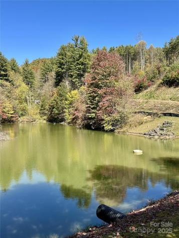 11 Freshwater Cove Maggie Valley NC 28751