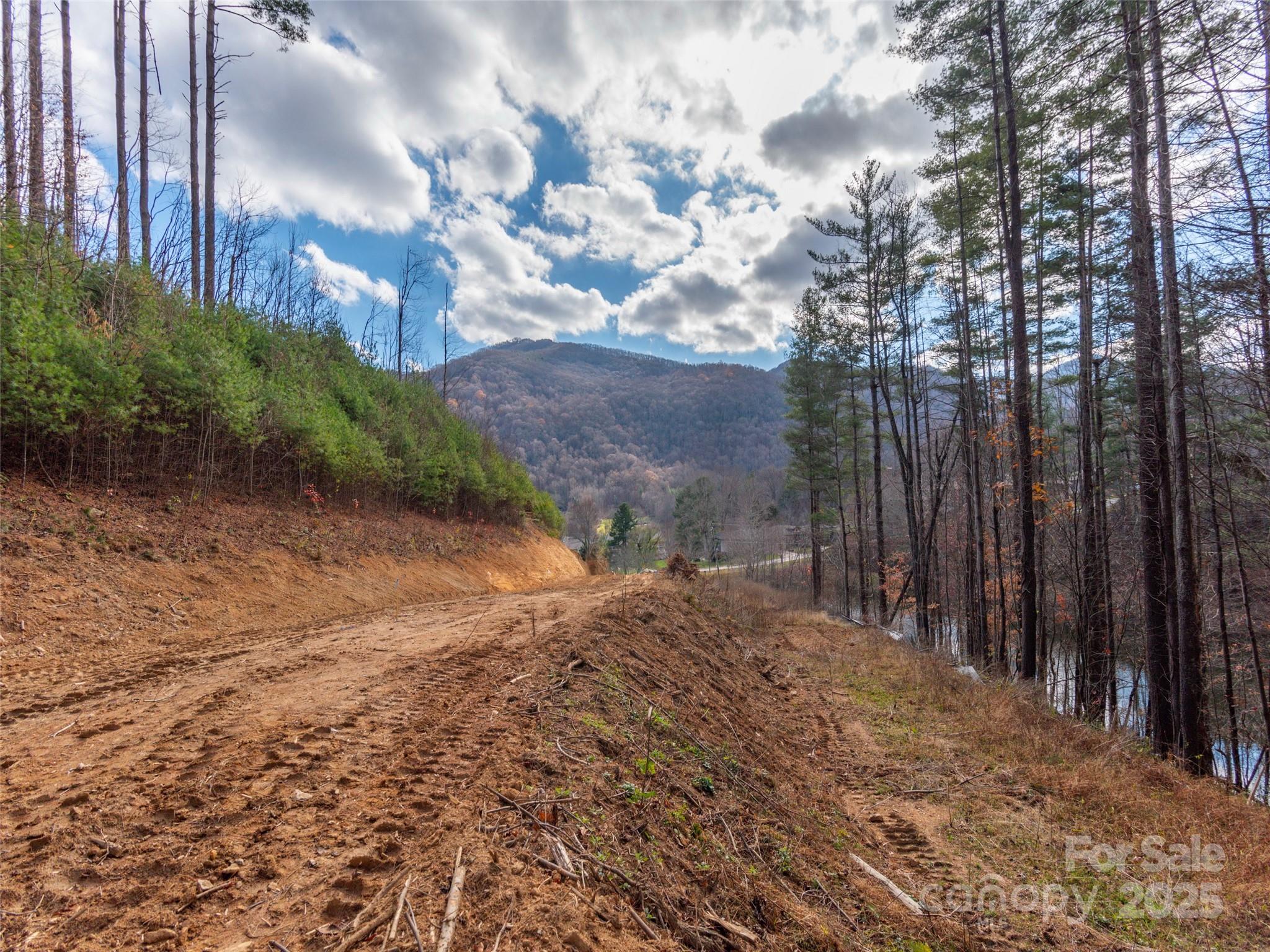 11 Freshwater Cove Maggie Valley NC 28751