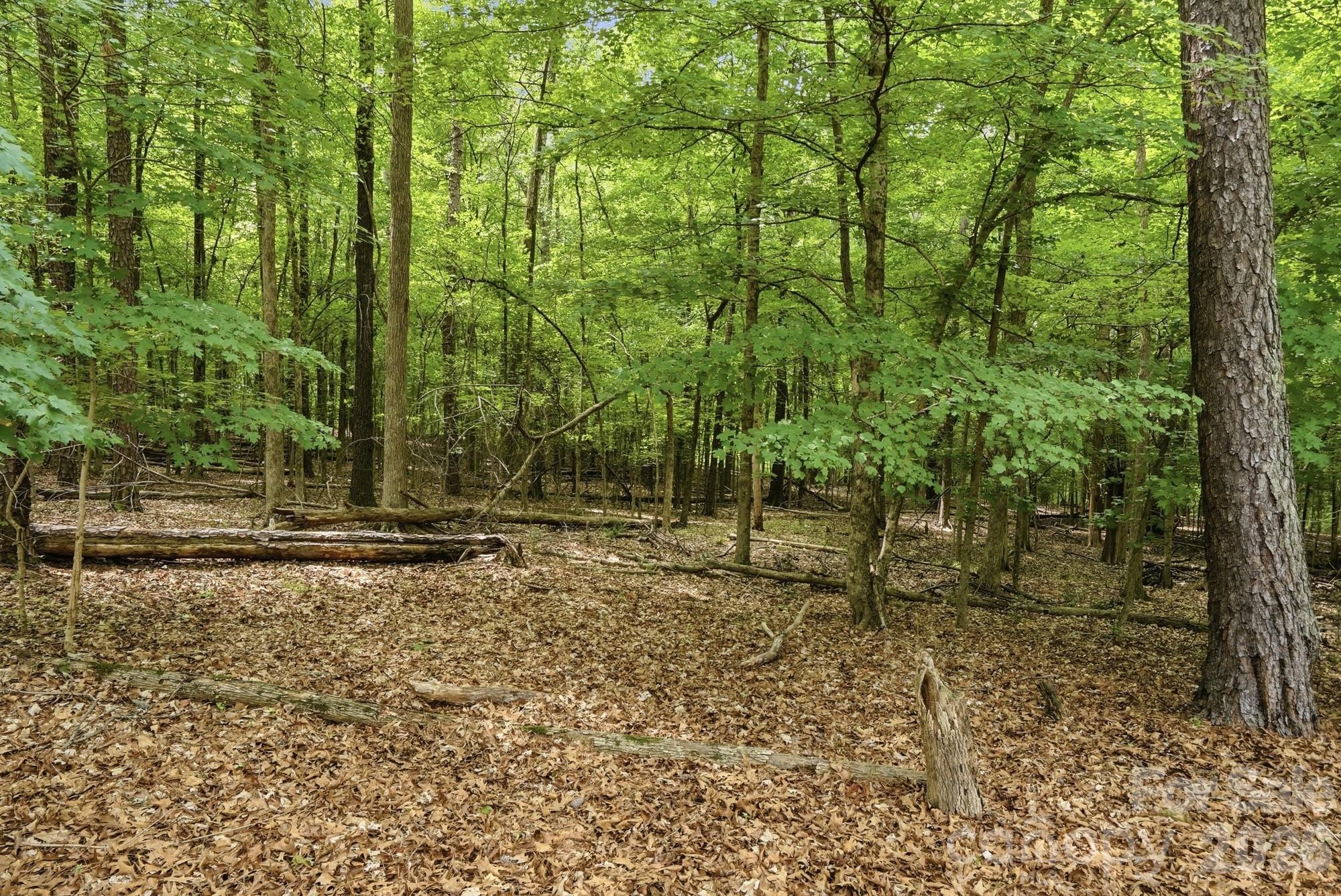 405 Hillcrest Drive Harrisburg NC 28075