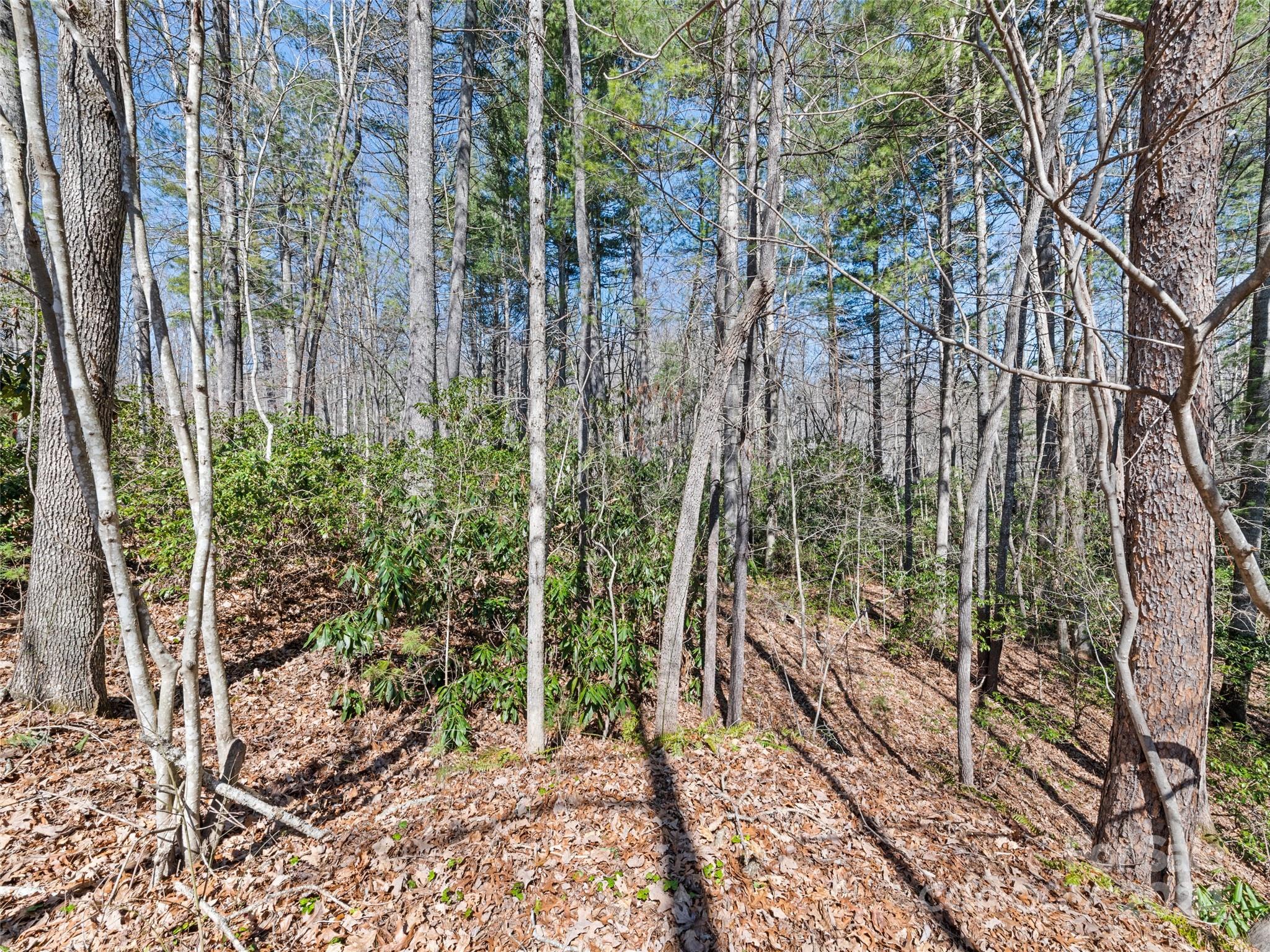 111 Oak Hollow Drive Asheville NC 28805