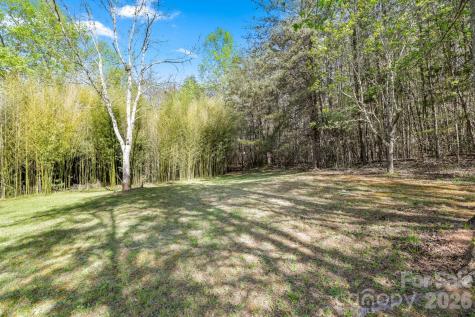 154 Cactus Lane Franklin NC 28734